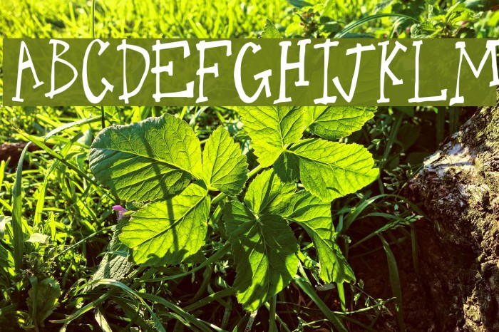 One Legged Donkey Font examples