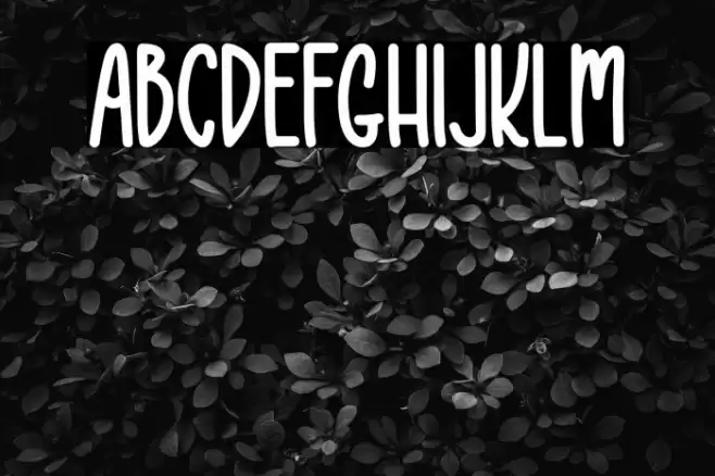 One Shot Font examples