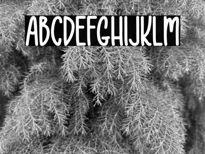 One Shot Font examples