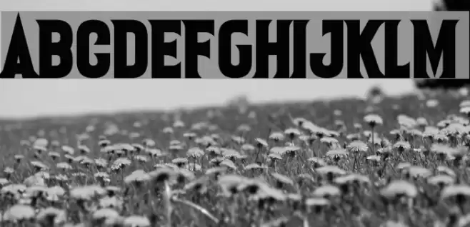 One Slice Font examples