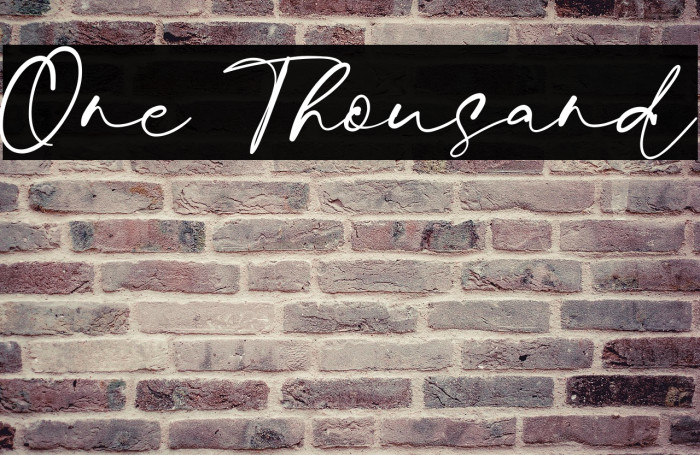 One Thousand Example 2