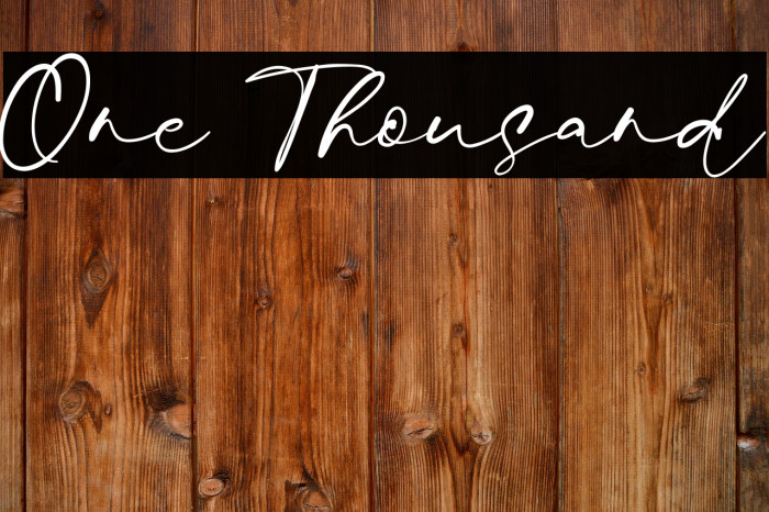 One Thousand Example 3