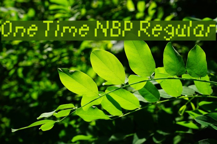 One Time NBP Regular Font examples