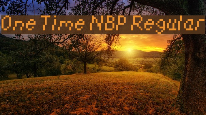 One Time NBP Regular Font examples
