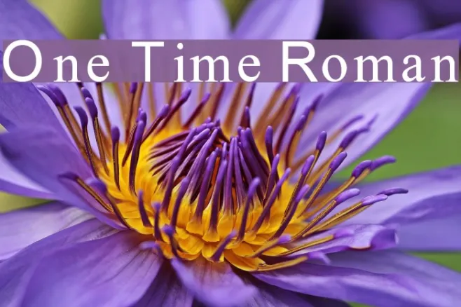 One Time Roman Example 1