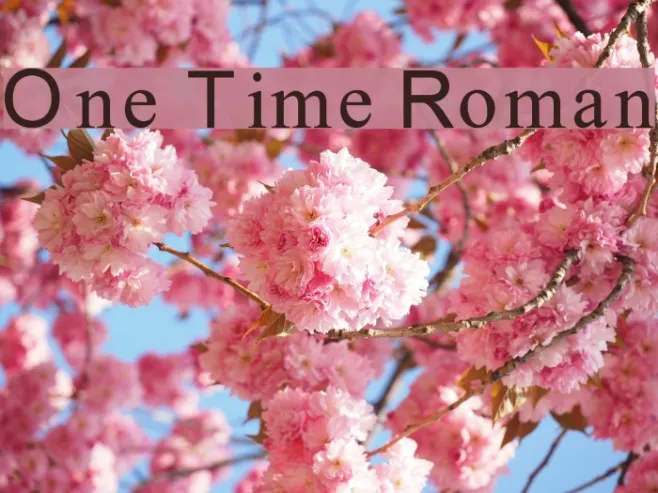 One Time Roman Example 2