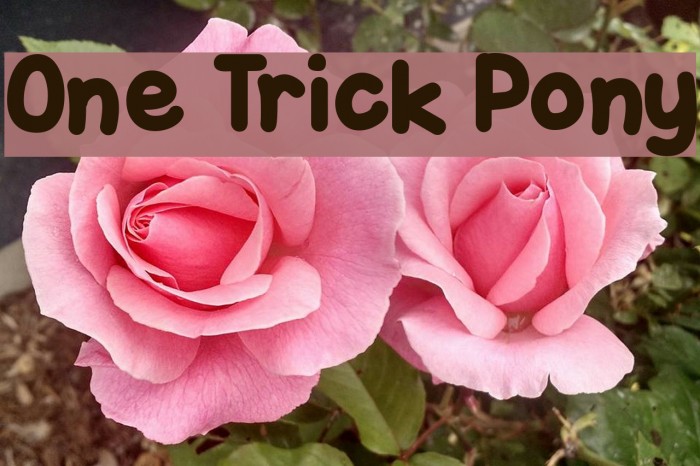 One Trick Pony Font examples