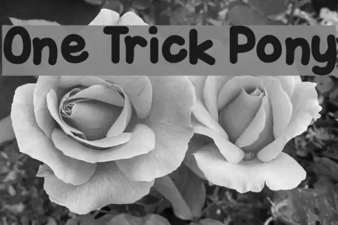 One Trick Pony Fuentes examples