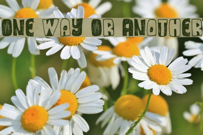 One Way Or Another Font examples