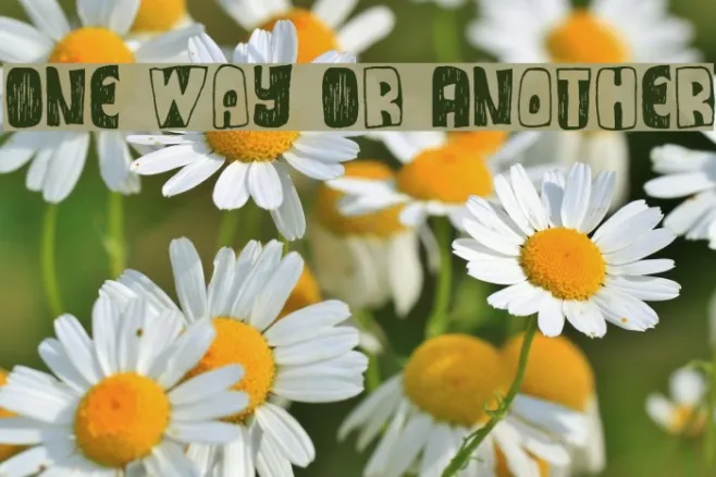 One Way Or Another Example 3