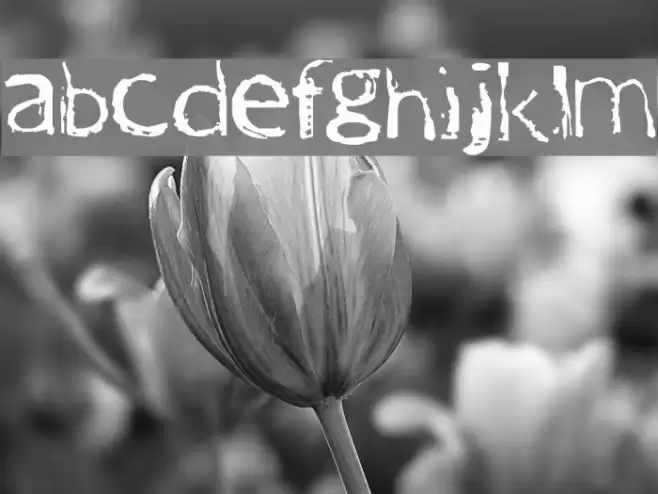 One Way Font examples