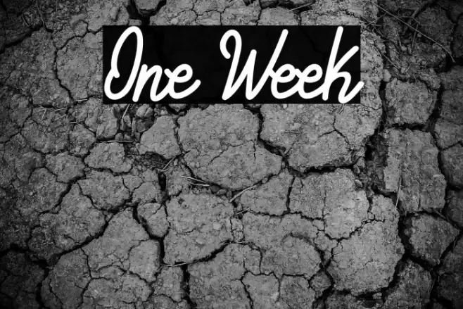 One Week Font examples