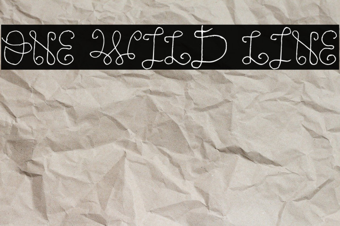 One Wild Line Font examples