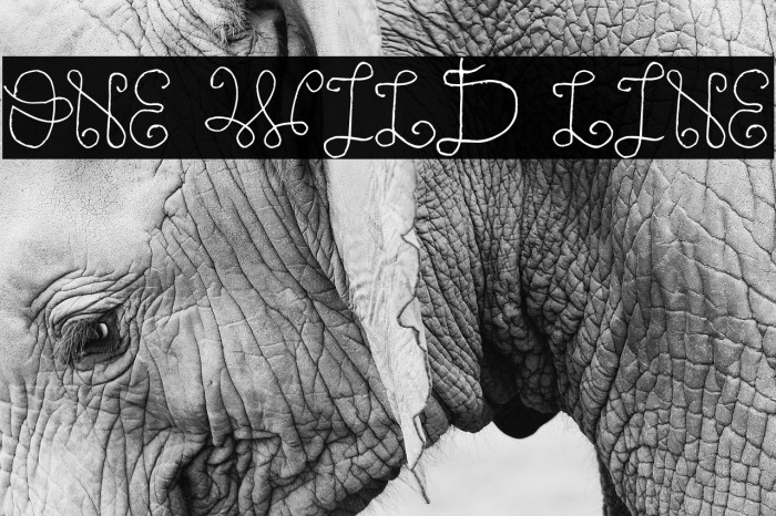 One Wild Line Font examples