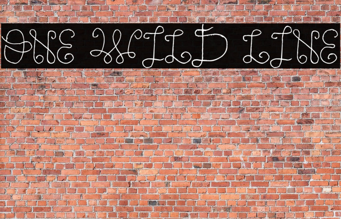 One Wild Line Font examples