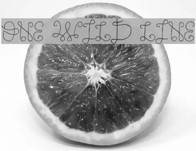 One Wild Line Font examples