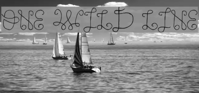 One Wild Line Font examples