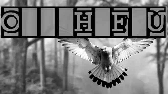 One and a Half Feet Under Fuentes examples