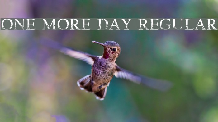 One more Day Regular Font examples