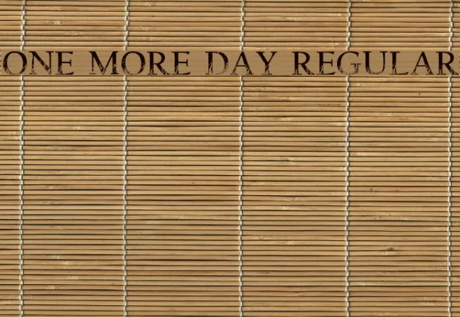 One more Day Regular Example 2