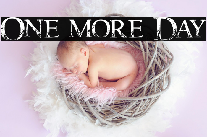 One more Day Example 1