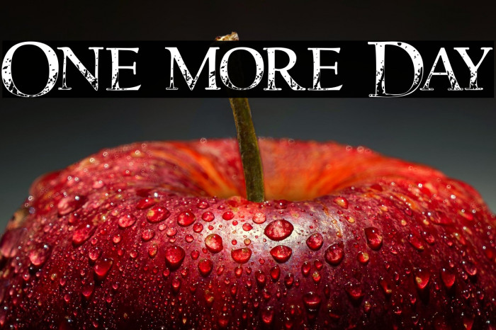 One more Day Example 3