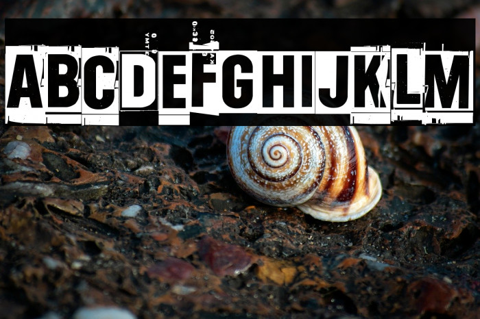 One two thirty-four Example 1