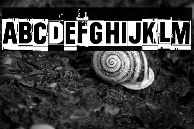 One two thirty-four Font examples