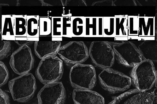 One two thirty-four Font examples