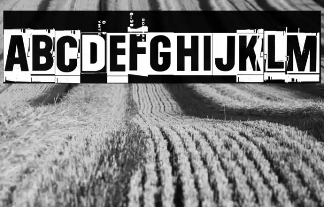 One two thirty-four Font examples