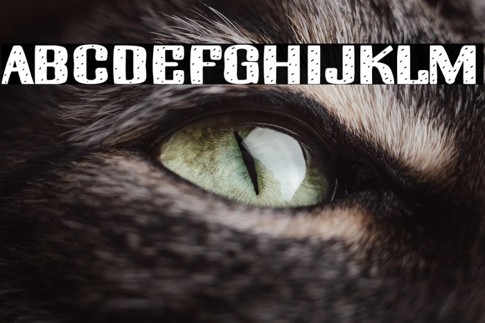 One,Big & Fresh! Example 3