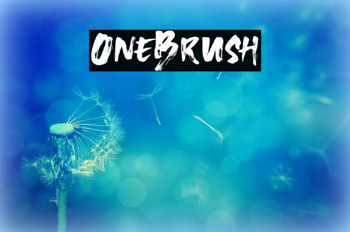 OneBrush Example 1