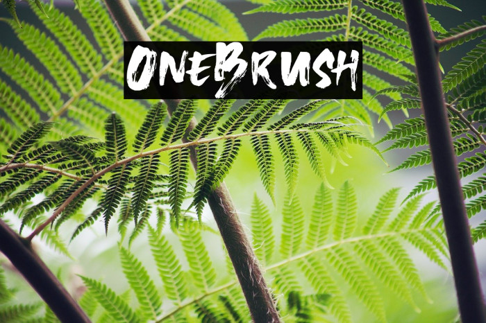OneBrush Font examples