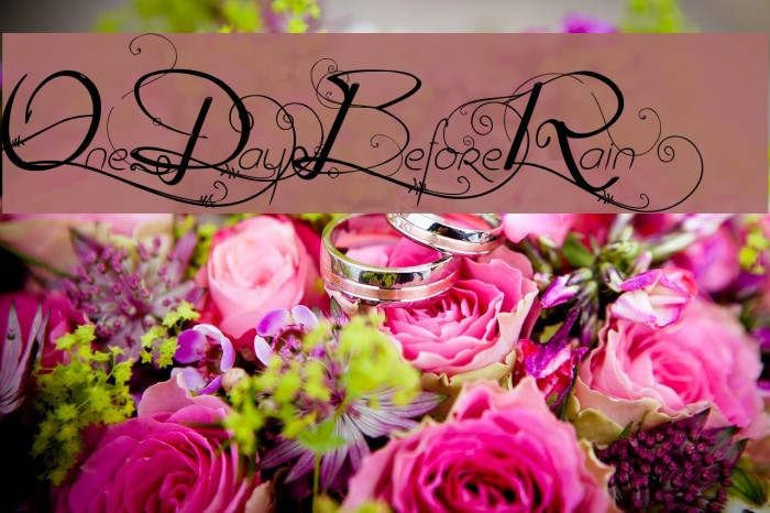OneDayBeforeRain Font examples