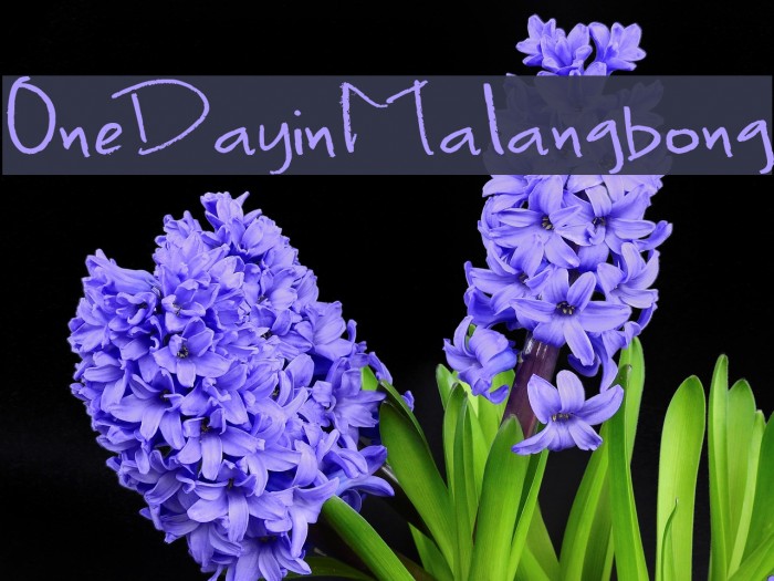 OneDayinMalangbong Font examples