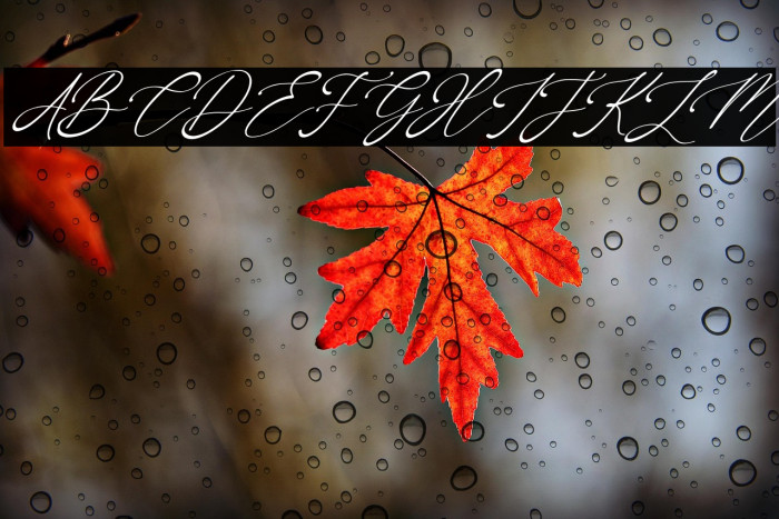 OneJanuary-Italic Example 1