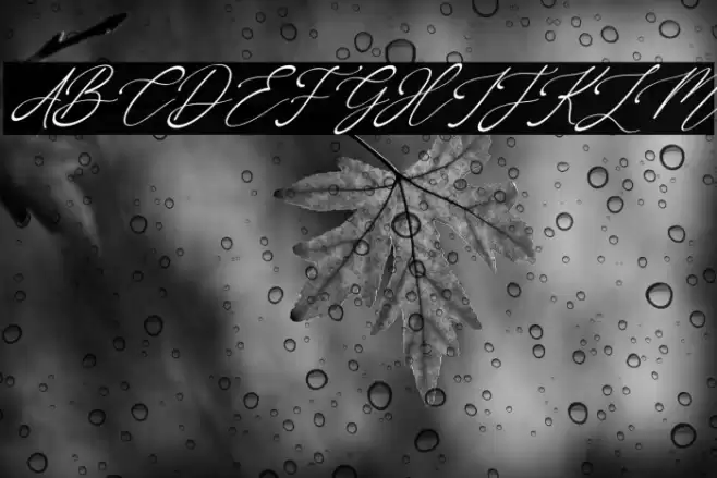 OneJanuary-Italic Schriftart examples