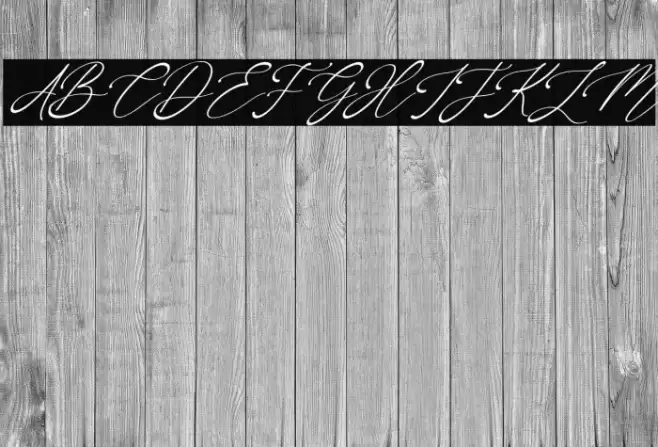 OneJanuary-Italic Schriftart examples