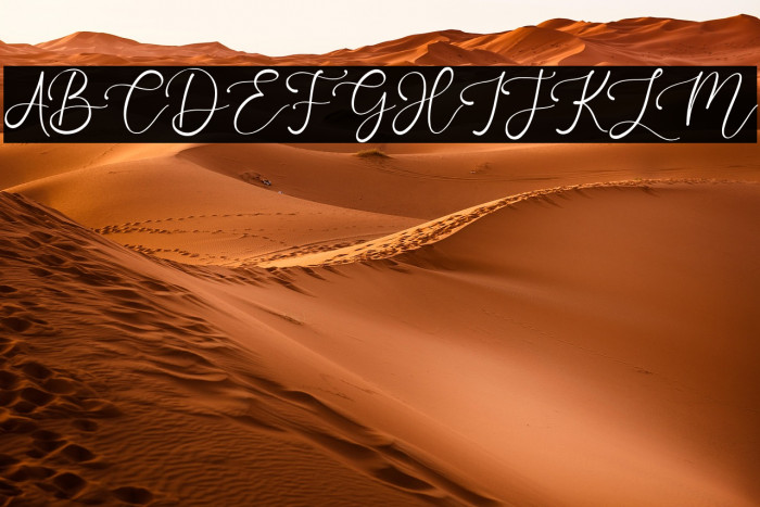 OneJanuary Example 1