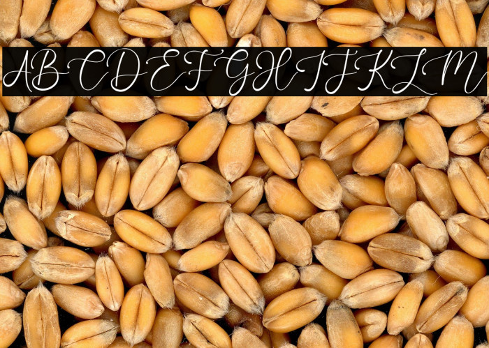 OneJanuary Example 2