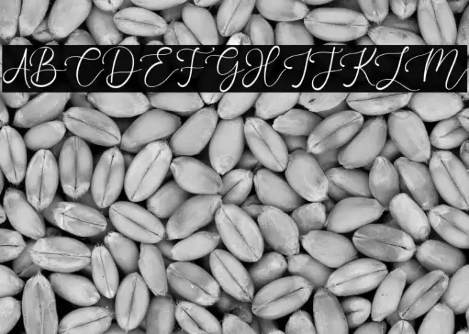 OneJanuary Font examples