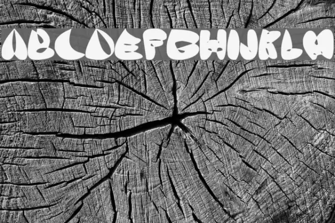 OneLeash Font examples