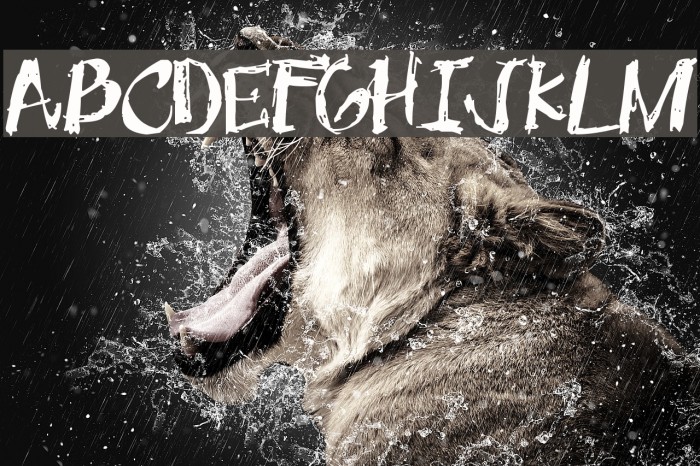 OneMiguel Shaded Example 1