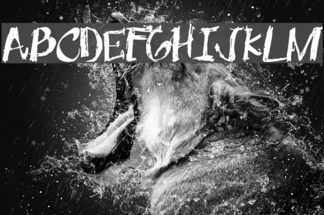 OneMiguel Shaded Font examples