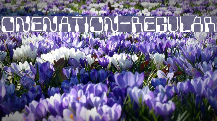 OneNation-Regular Font examples