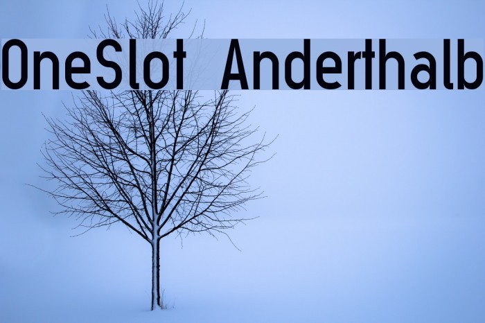 OneSlot Anderthalb Font examples