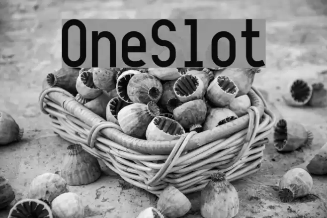 OneSlot Font examples