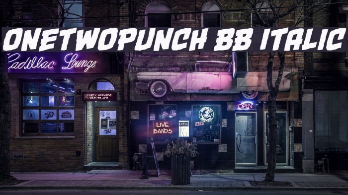 OneTwoPunch BB Italic Font examples