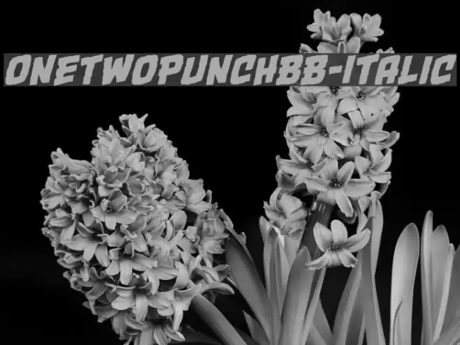 OneTwoPunchBB-Italic Шрифта examples