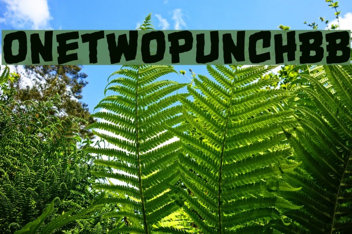 OneTwoPunchBB Font examples